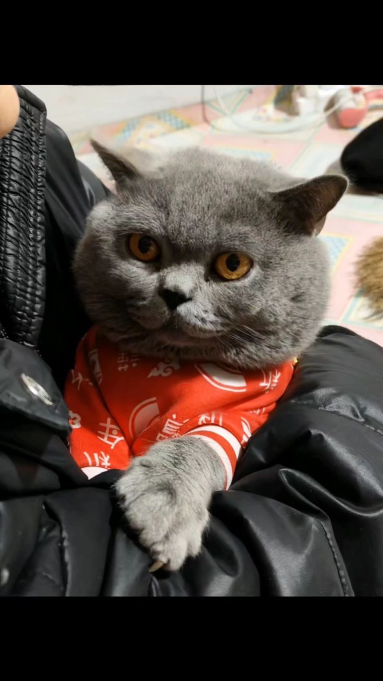 卖汤圆卖汤圆快来快来买汤圆啊