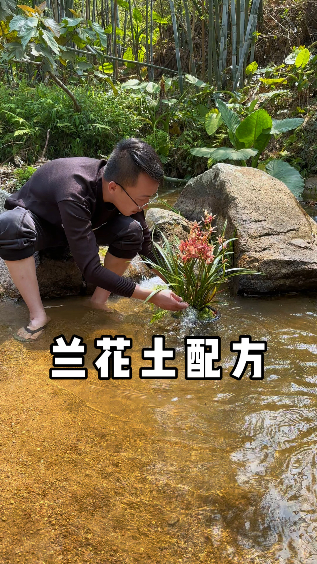 想要养好兰花,首先要把根养好,分享一个兰花土配方