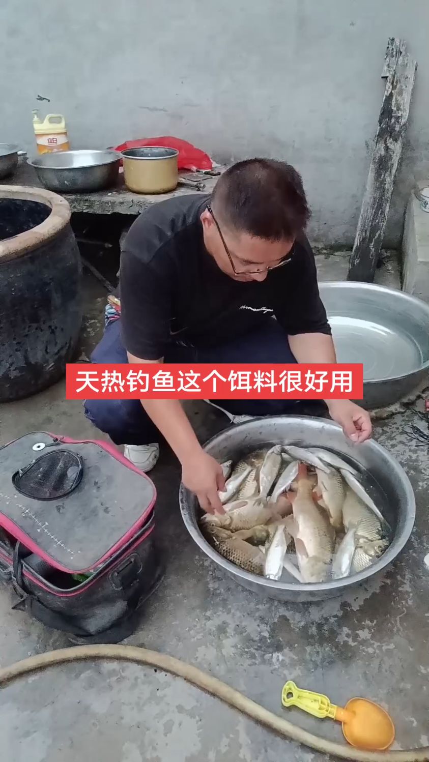 天热钓鲫鱼、钓鲤鱼、钓草鱼钓鳊鱼这个饵料一包搞定,真的很好用