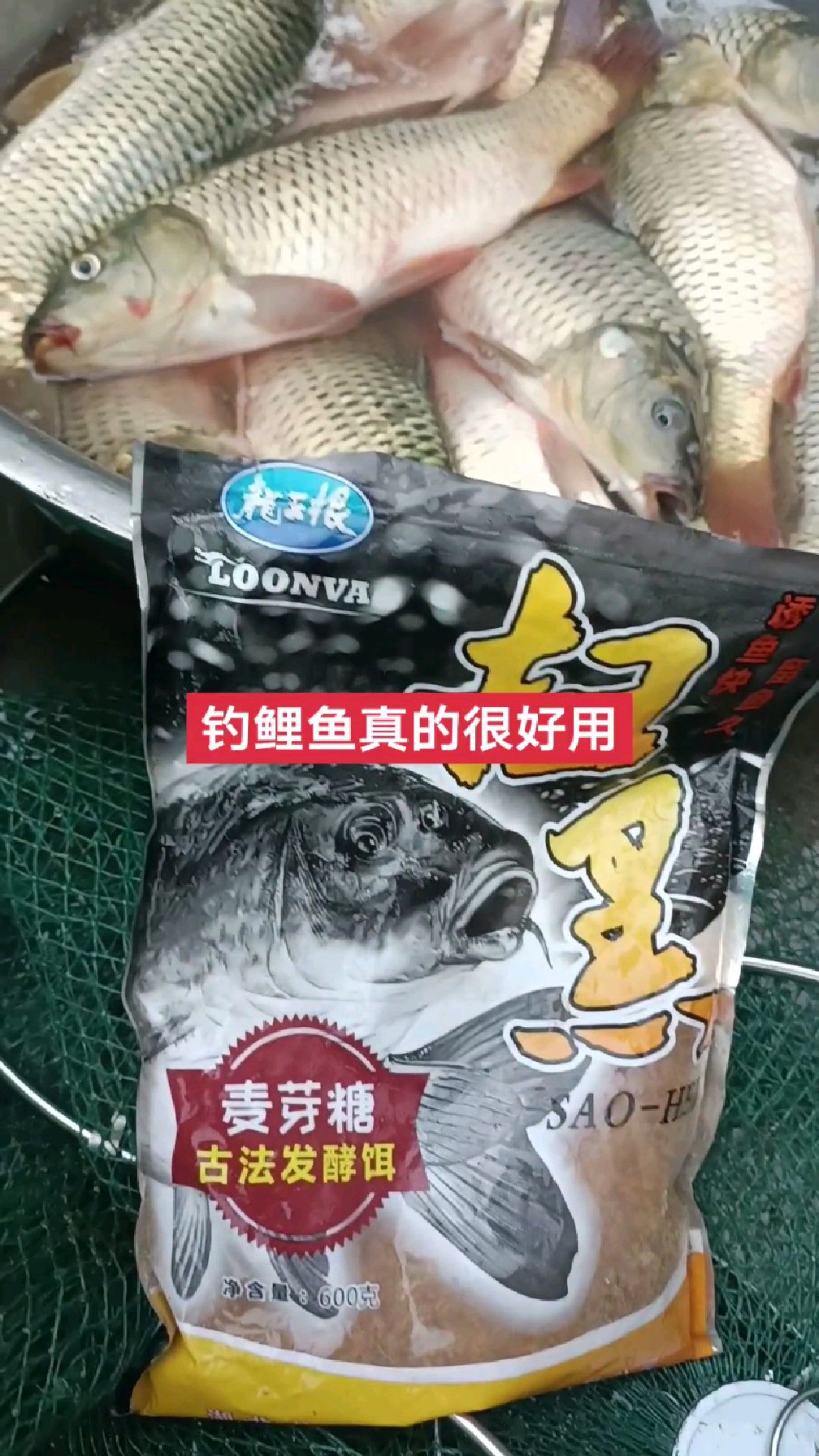 龙王恨扫黑系列饵料野钓鲤鱼确实好用,鱼获就是最好的验证