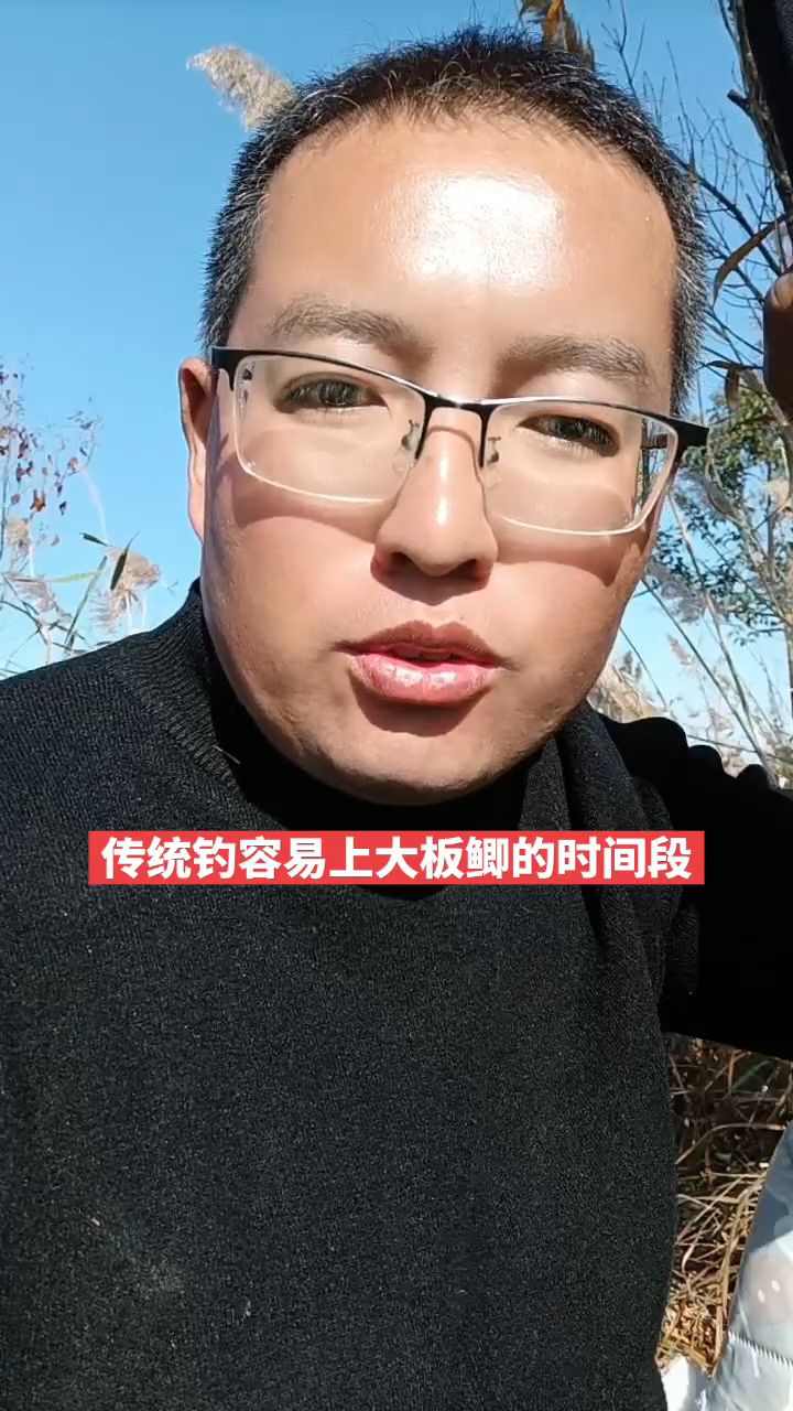 传统钓比较容易上大板鲫的两个时间段