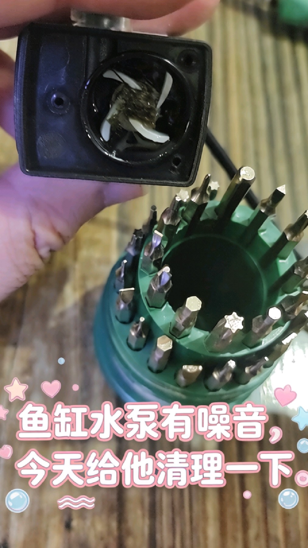 鱼缸水泵有噪音，今天给他清理一下