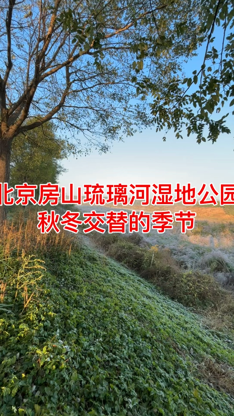 北京房山琉璃河湿地公园