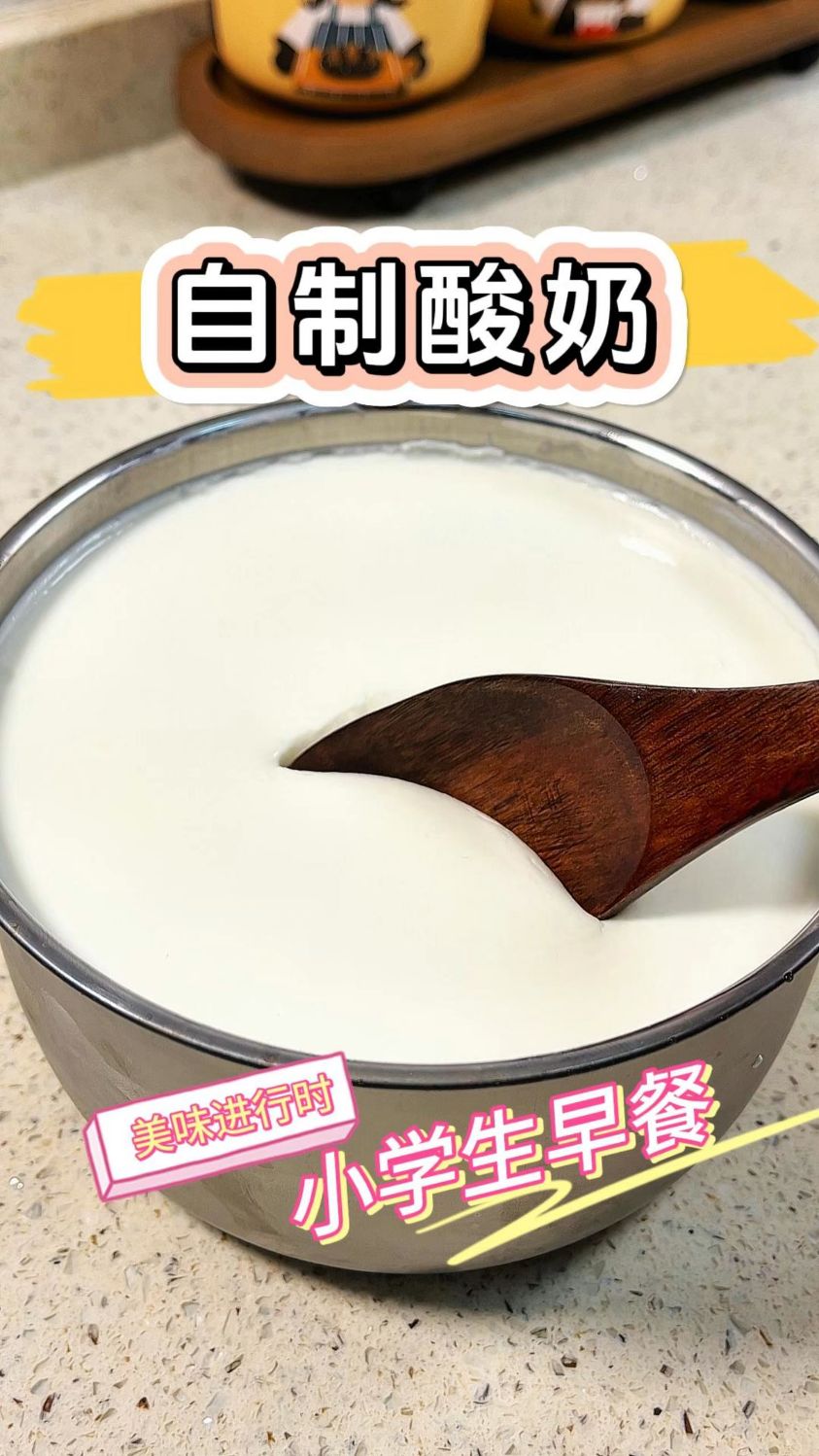 自己在家做酸奶真是太简单了，营养健康喝着也放心实现了酸奶自由