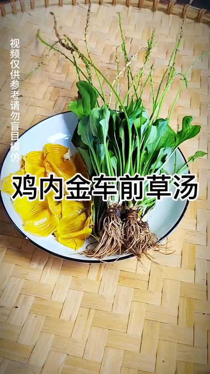 车前草和鸡内金是绝配,一起煮汤喝,暖身体,少生病,安稳生活!
