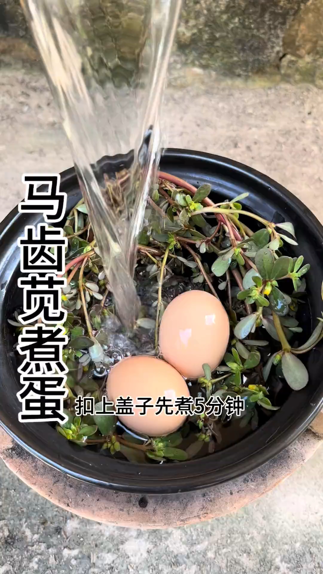 三月三吃完荠菜煮鸡蛋,搭配上它,身体好,少生病,安稳过春天!