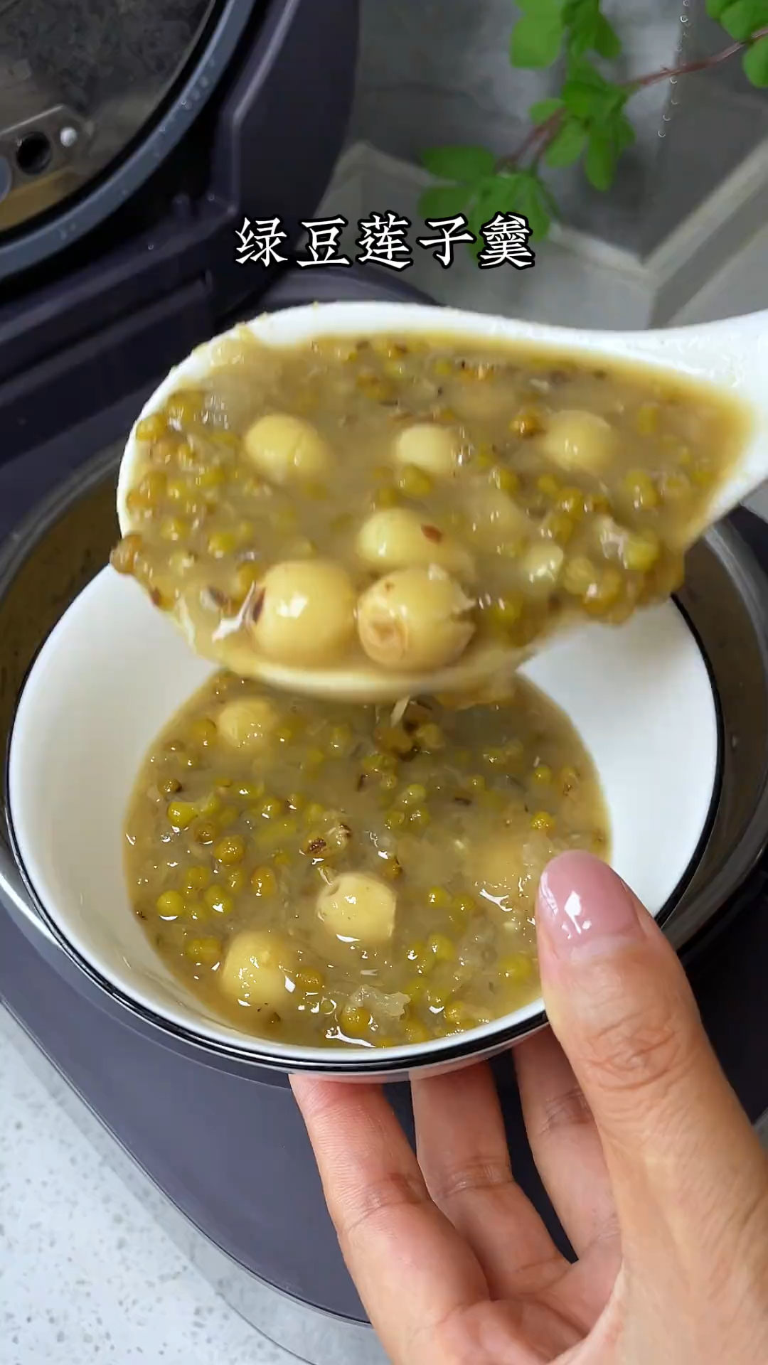 绿豆和莲子是天生搭档,一起煮粥吃,暖身体,少生病,安稳过春天