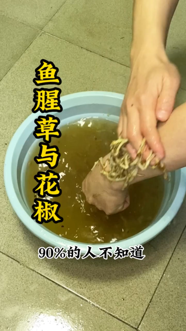 鱼腥草的新用法,这样搭配,身体舒服,少生病,老祖宗的土方法