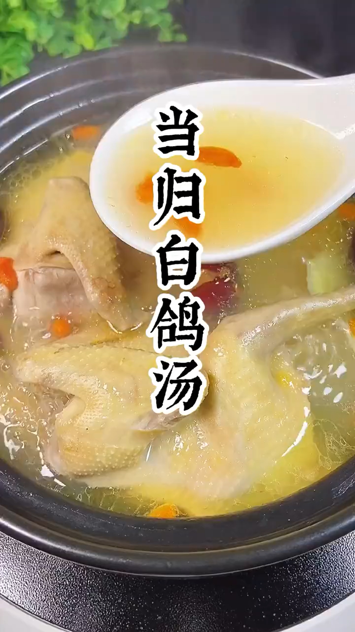 当归和鸽子是黄金搭档,炖汤喝,身体好,气色足,少生病,稳生活