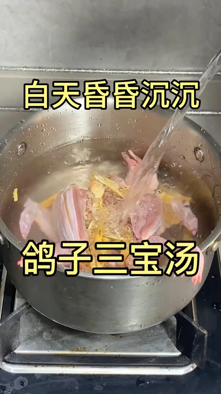 黄芪和它是天生一对,搭配炖鸽子汤喝,身体好,生活美,安稳春天