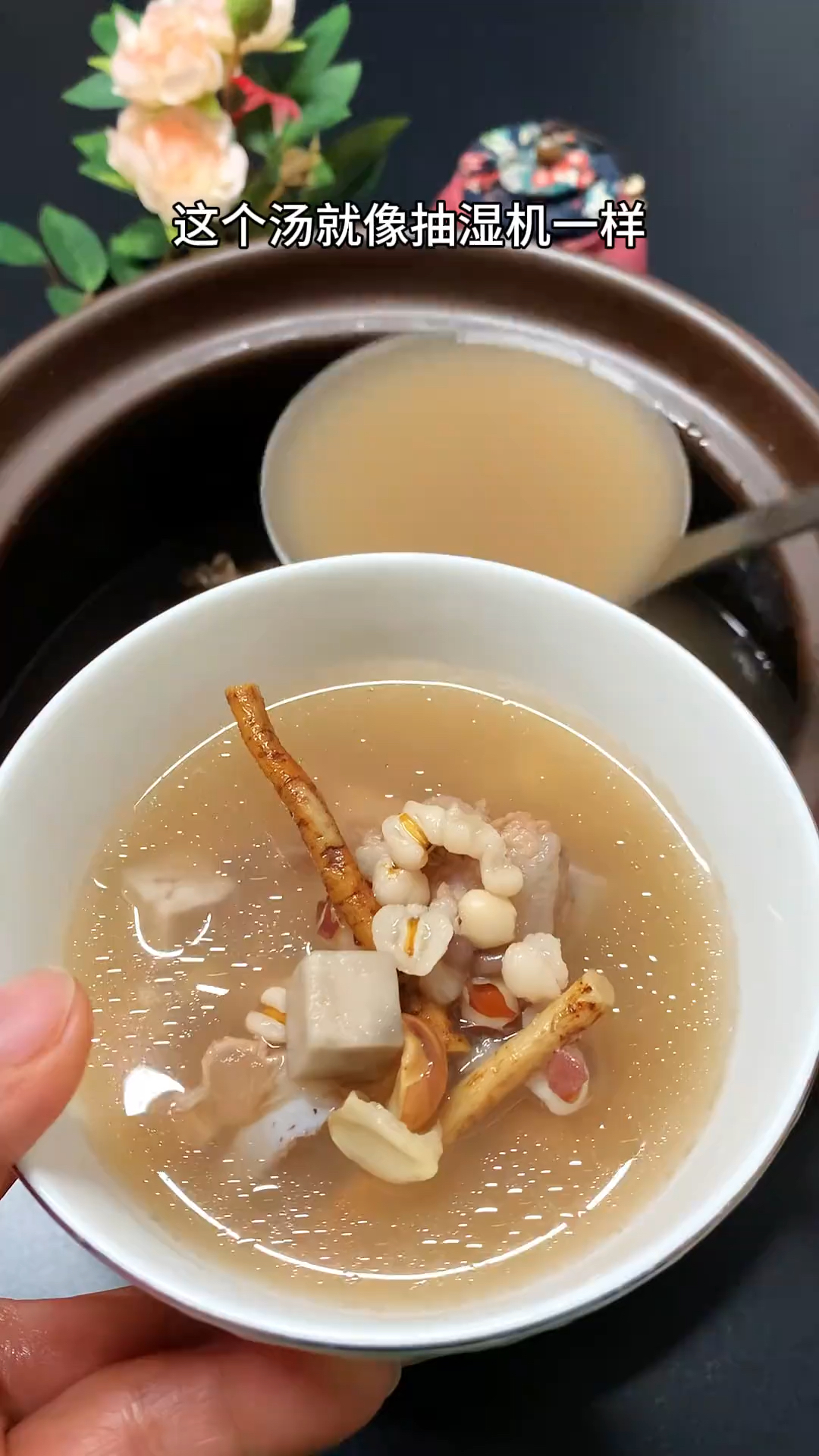 五指毛桃根和它是一对情侣,搭配煮水喝,调身体,养生活,稳春天