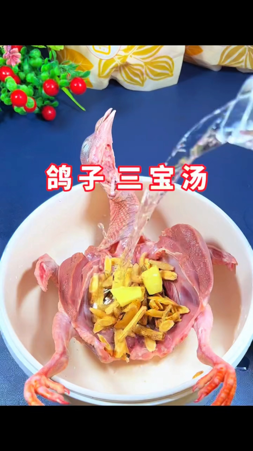 党参和它是天生一对,搭配炖鸽子汤喝,暖身体,气血足,安稳生活