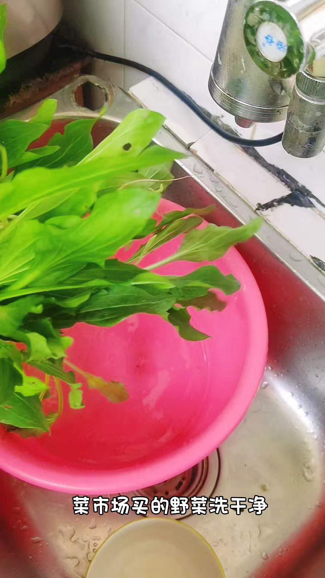 车前草和它是天生一对,搭配炖汤喝,暖身体,乐生活,安稳入夏