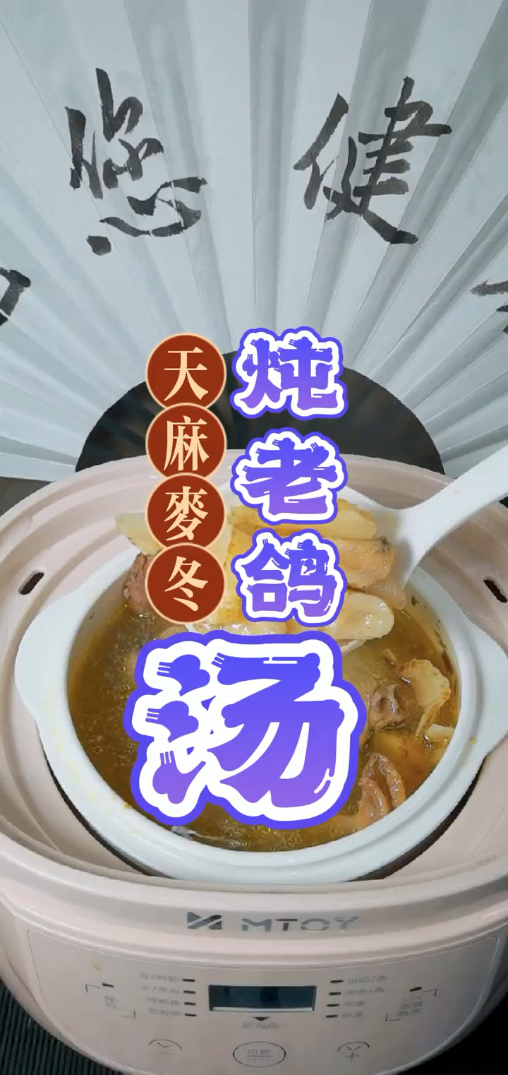 鸽子汤太舒服,搭配天麻、麦冬,身体好,气血足,少生病,稳夏天