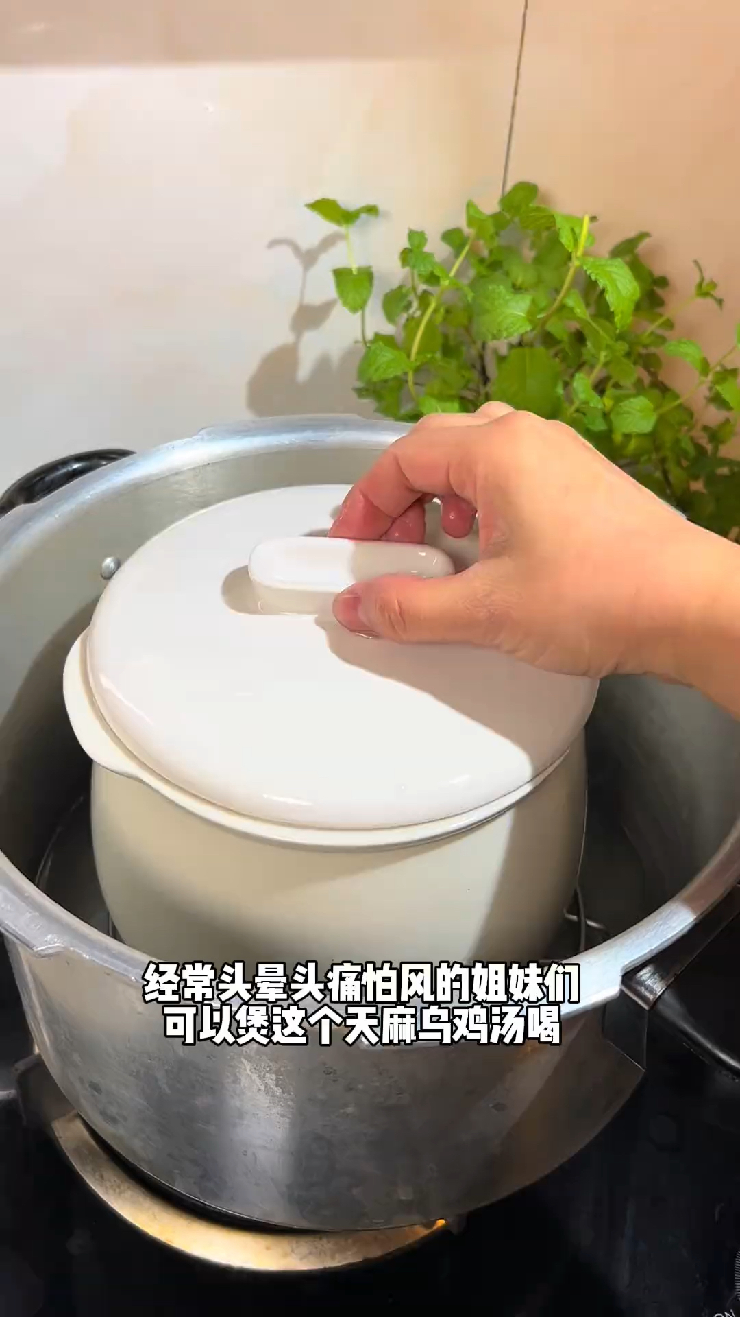 天麻和它是好搭档,一起炖汤喝,调身体,养生活,少生病,稳夏天