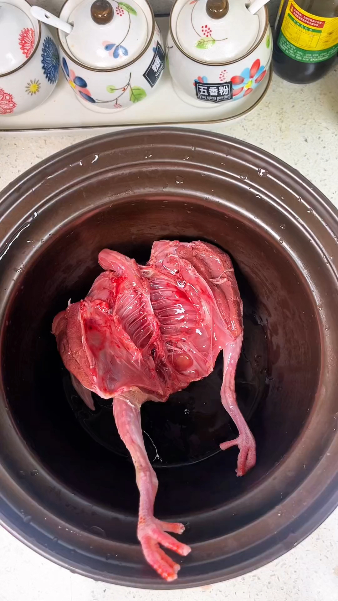 鸽子汤太润了,搭配党参一起炖,暖身体,气血足,老祖宗的土方法