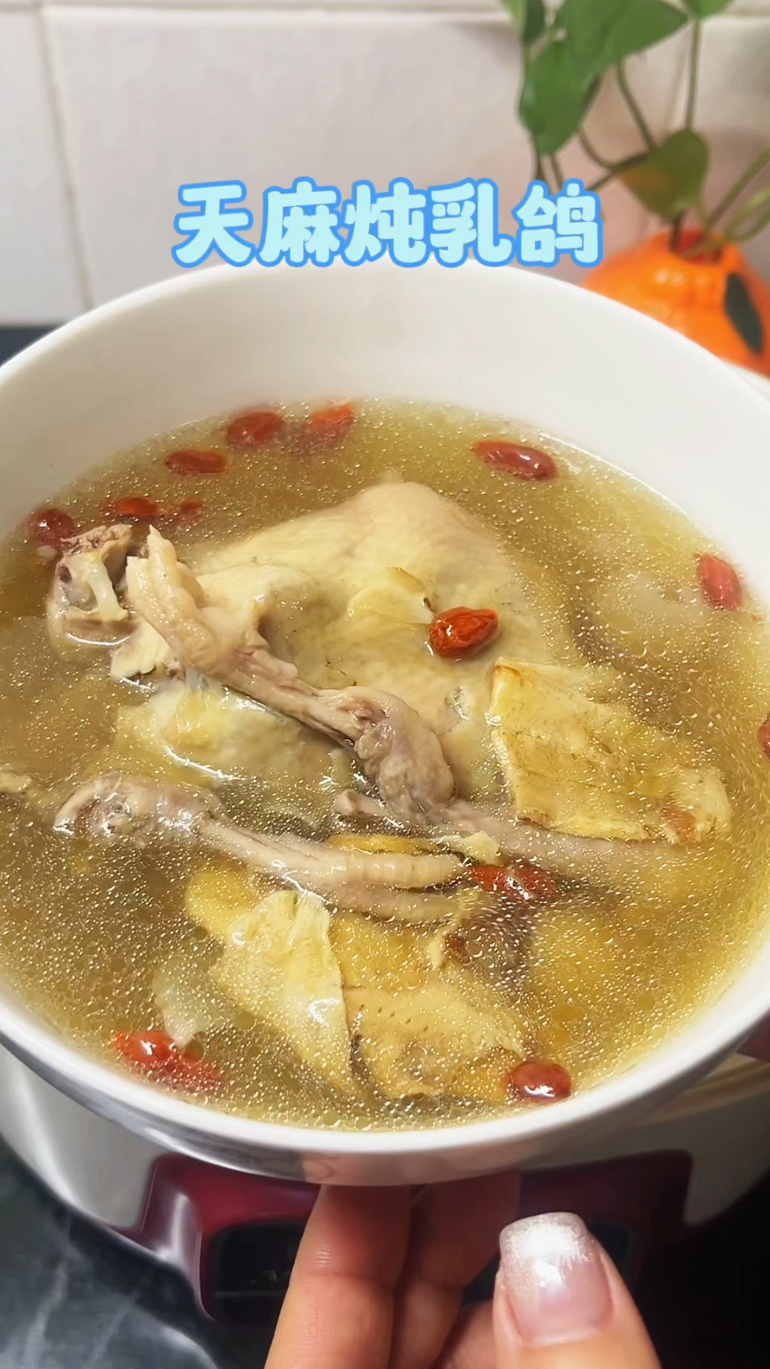 天麻和它是天生一对,搭配炖鸽子汤喝,暖身体,气血足,安稳夏天