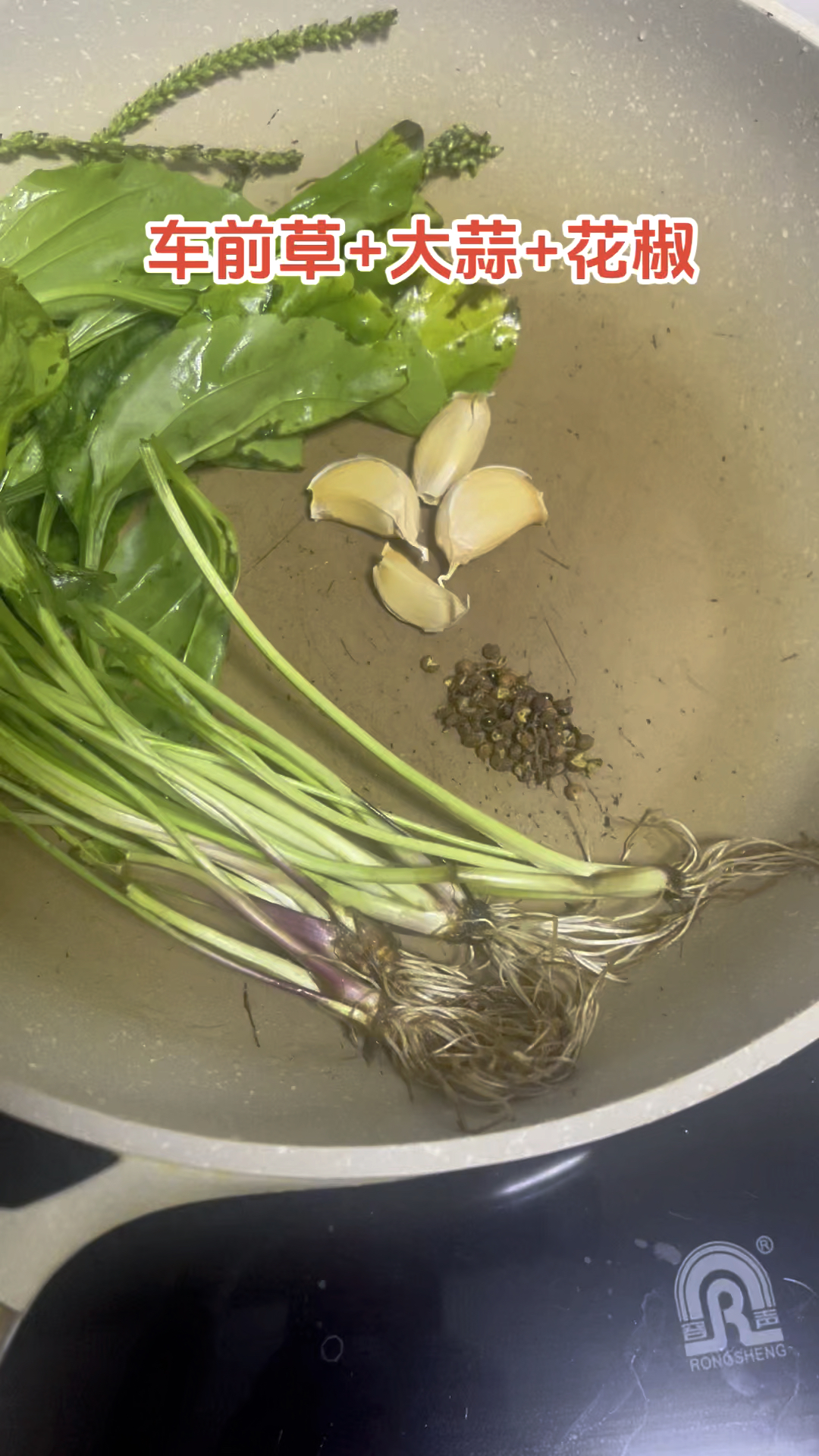 车前草和它是好搭档,煮水喝,暖身体,少生病,老祖宗的土方法