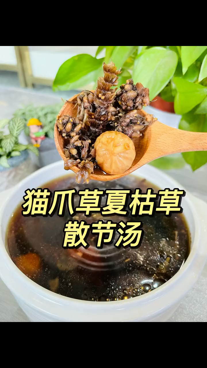夏枯草和它是神仙搭配,一起煮水喝,暖身体,少生病,安稳夏天