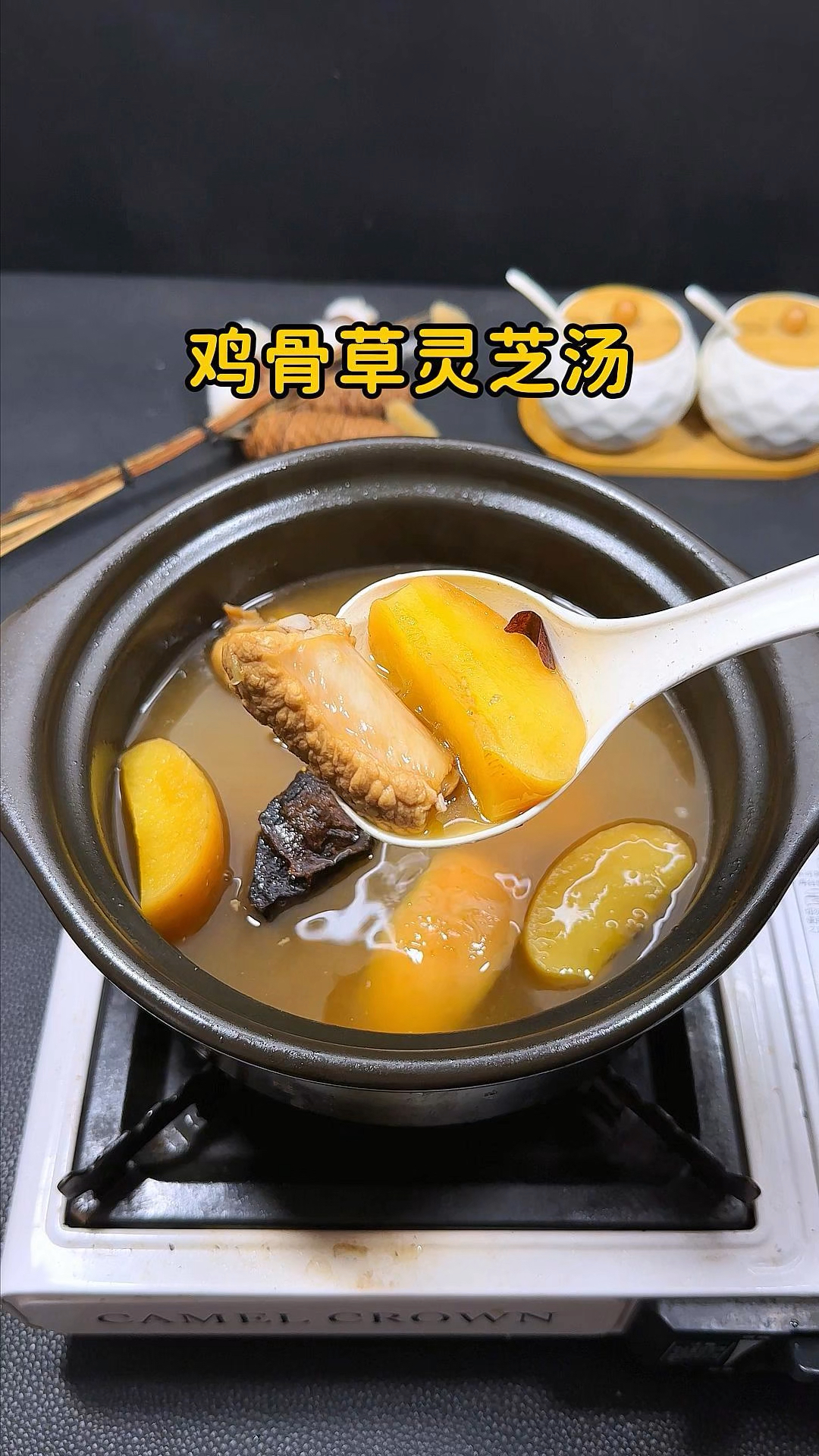 鸡骨草和灵芝是好搭档，一起煮汤喝，调身体，养气血，稳夏天