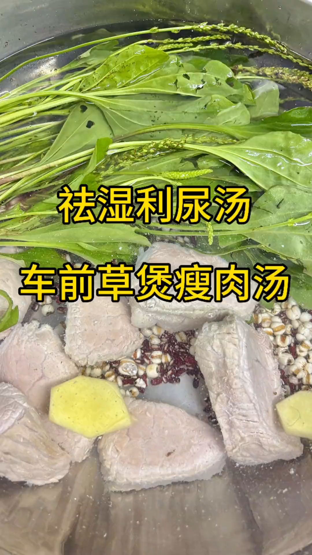 车前草是个宝,搭配炖汤喝,暖身体,少生病,老祖宗的土方法