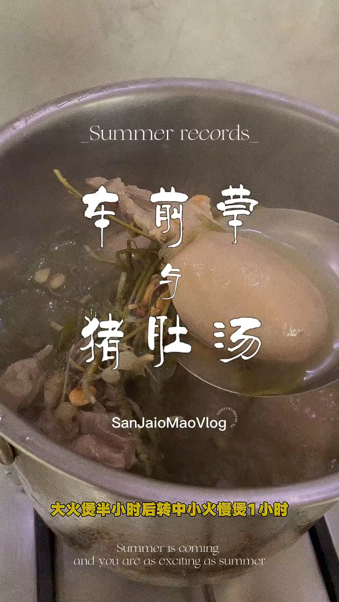 车前草的神仙吃法,这样搭配炖汤喝,暖身体,养生活,安稳夏天