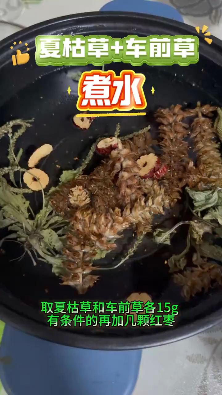 车前草和夏枯草是好搭档,煮水喝,身体好,少生病,老祖宗土方法