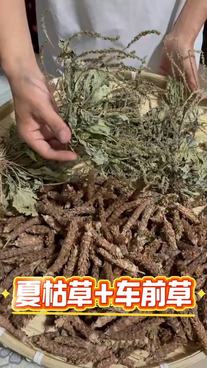 炎热的夏天一定要来一碗夏枯草车前草汤,好处太神奇了!