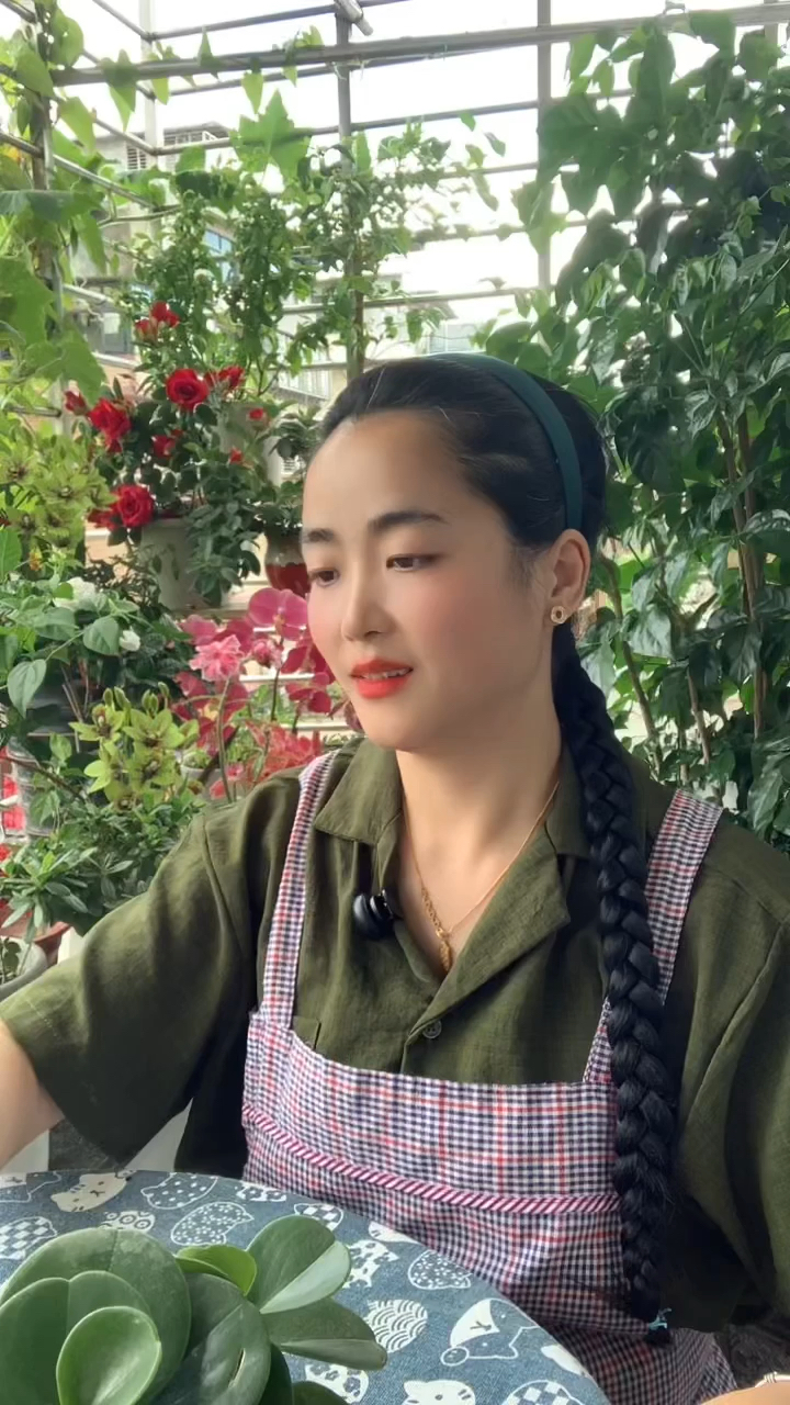 多肉到底要怎么养？黑腐、烂根、徒长、不上色、干瘪，怎么救？