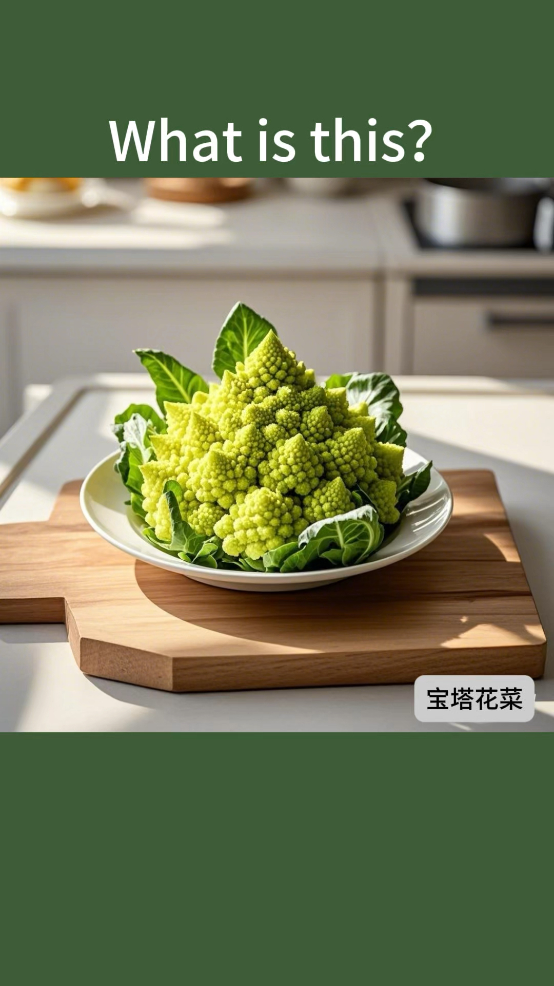 10种绿色蔬菜英语知多少?无痛学习英语单词