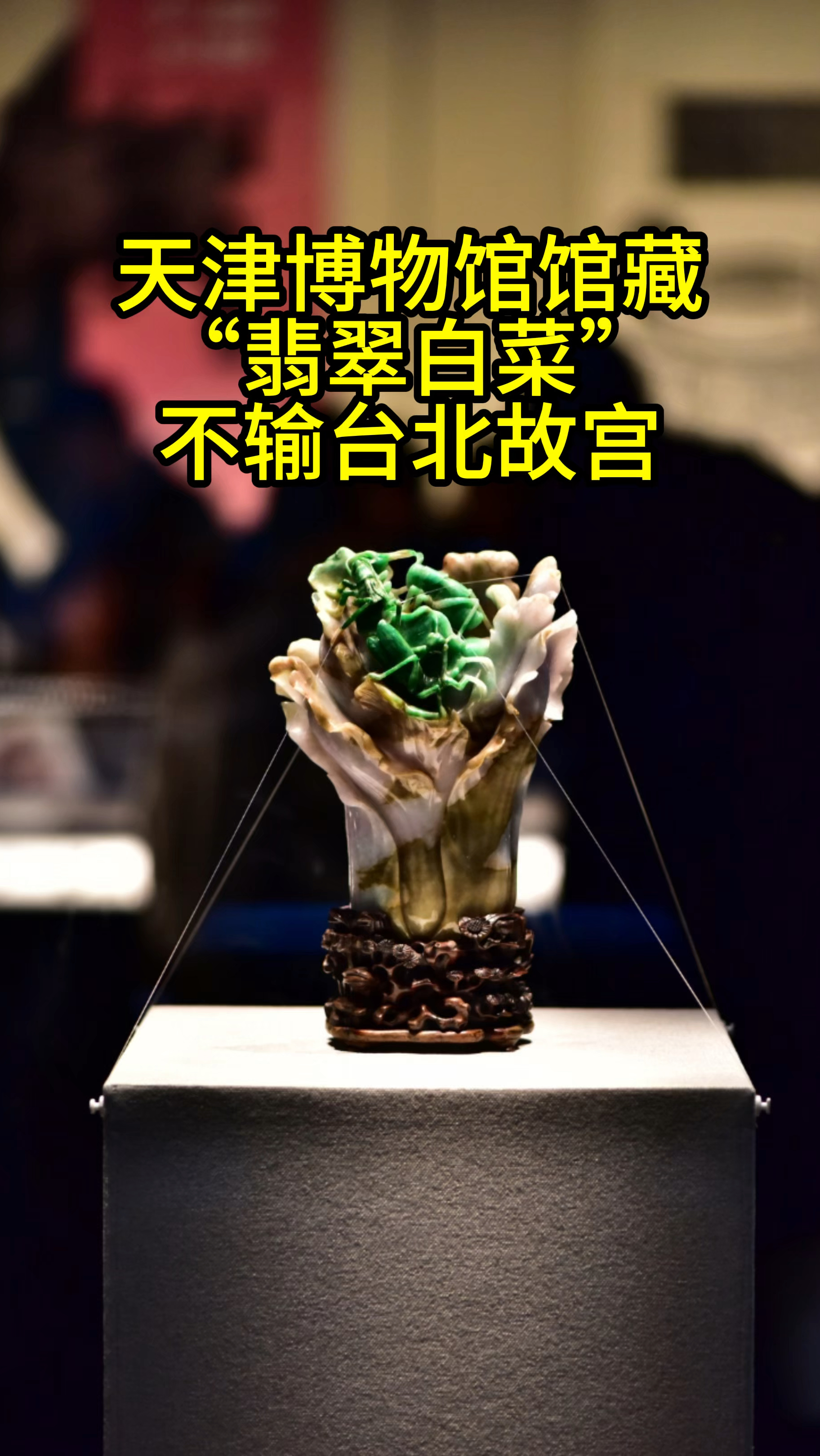 天博的翡翠白菜，不输台北的