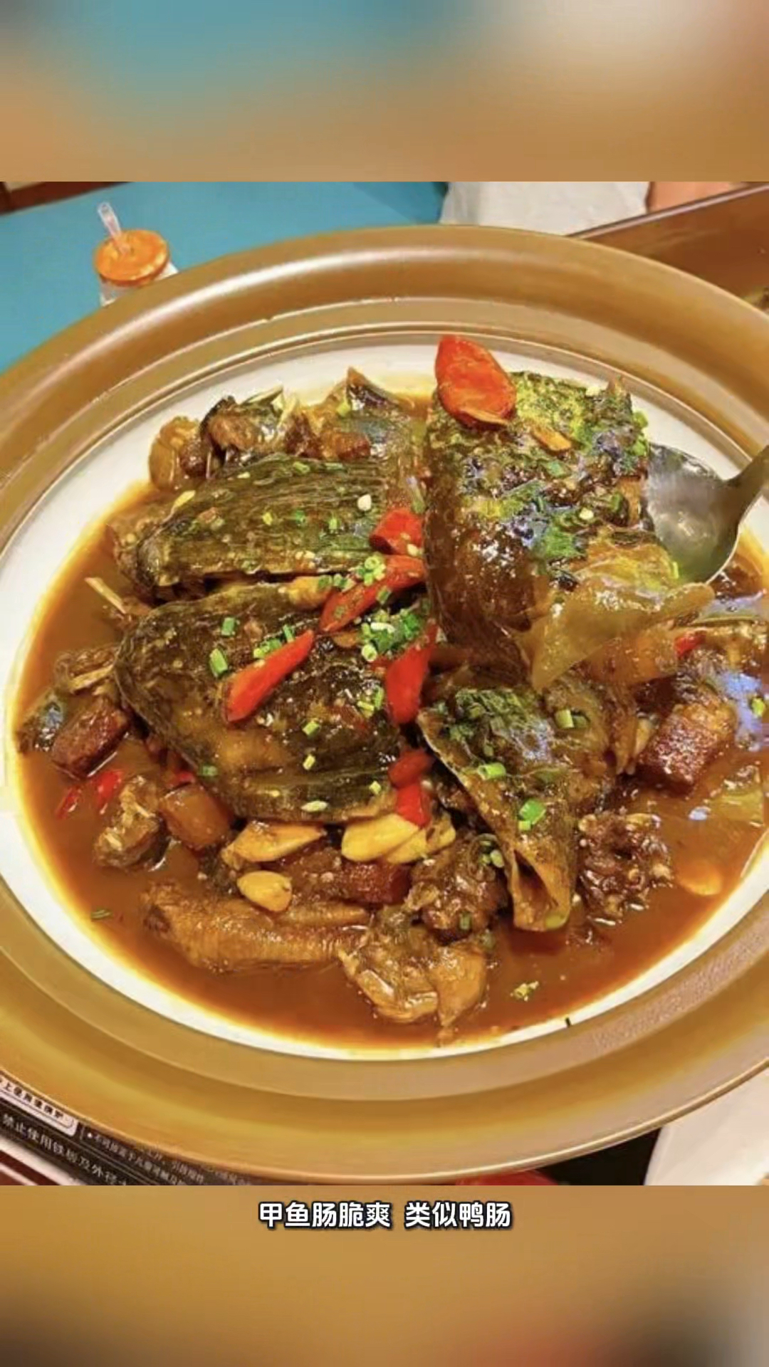 甲鱼不可食部位,甲鱼的知识