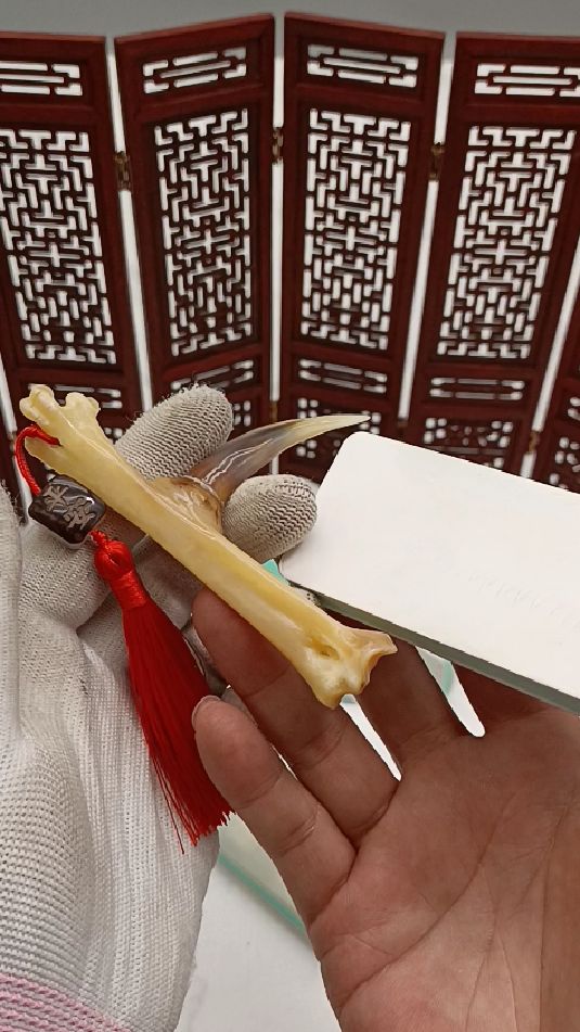 文玩鸡爪骨如何抛光打磨 ?