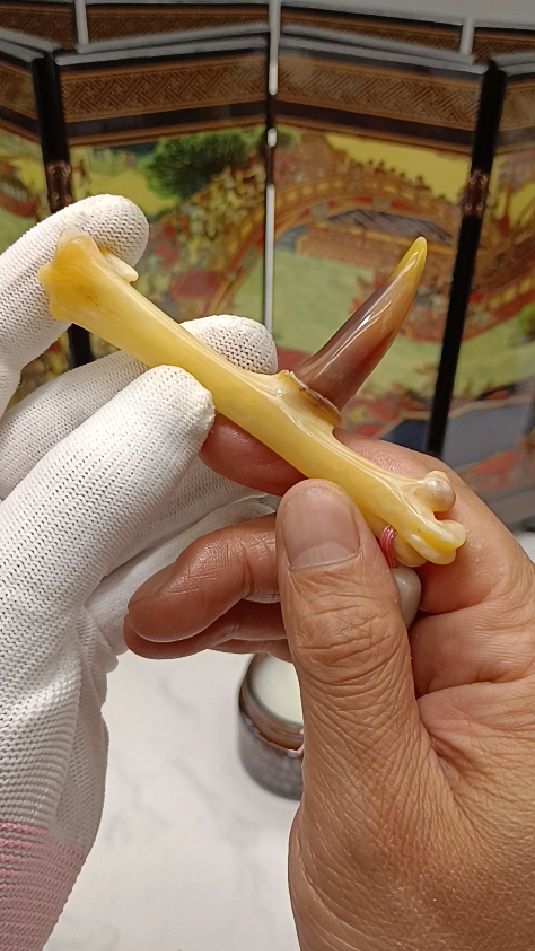 文玩鸡爪骨如何盘玩 ?