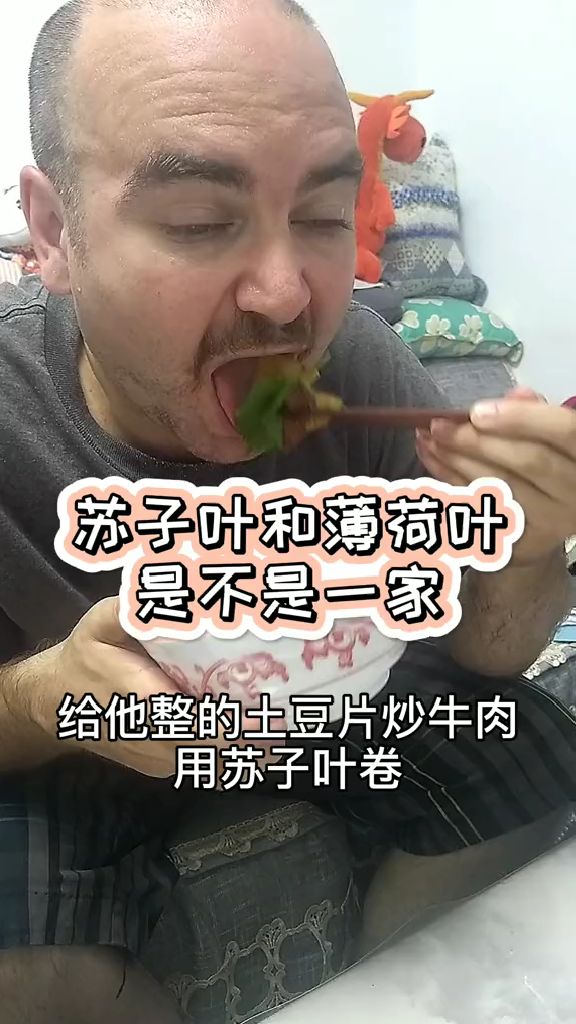 土豆炒牛肉卷苏子叶,老外吃的嘎嘎香