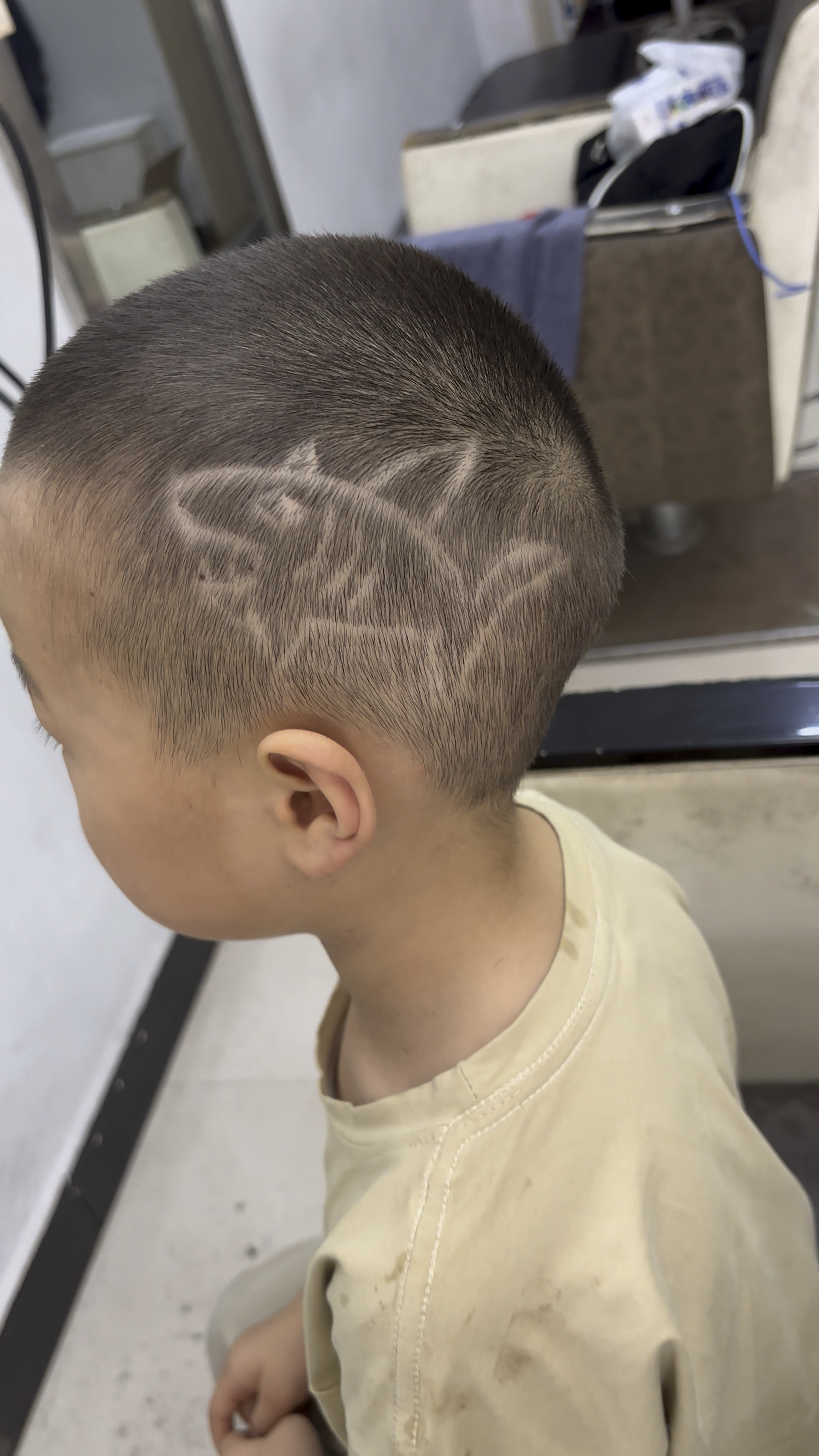 鲨鱼发型有喜欢的吗