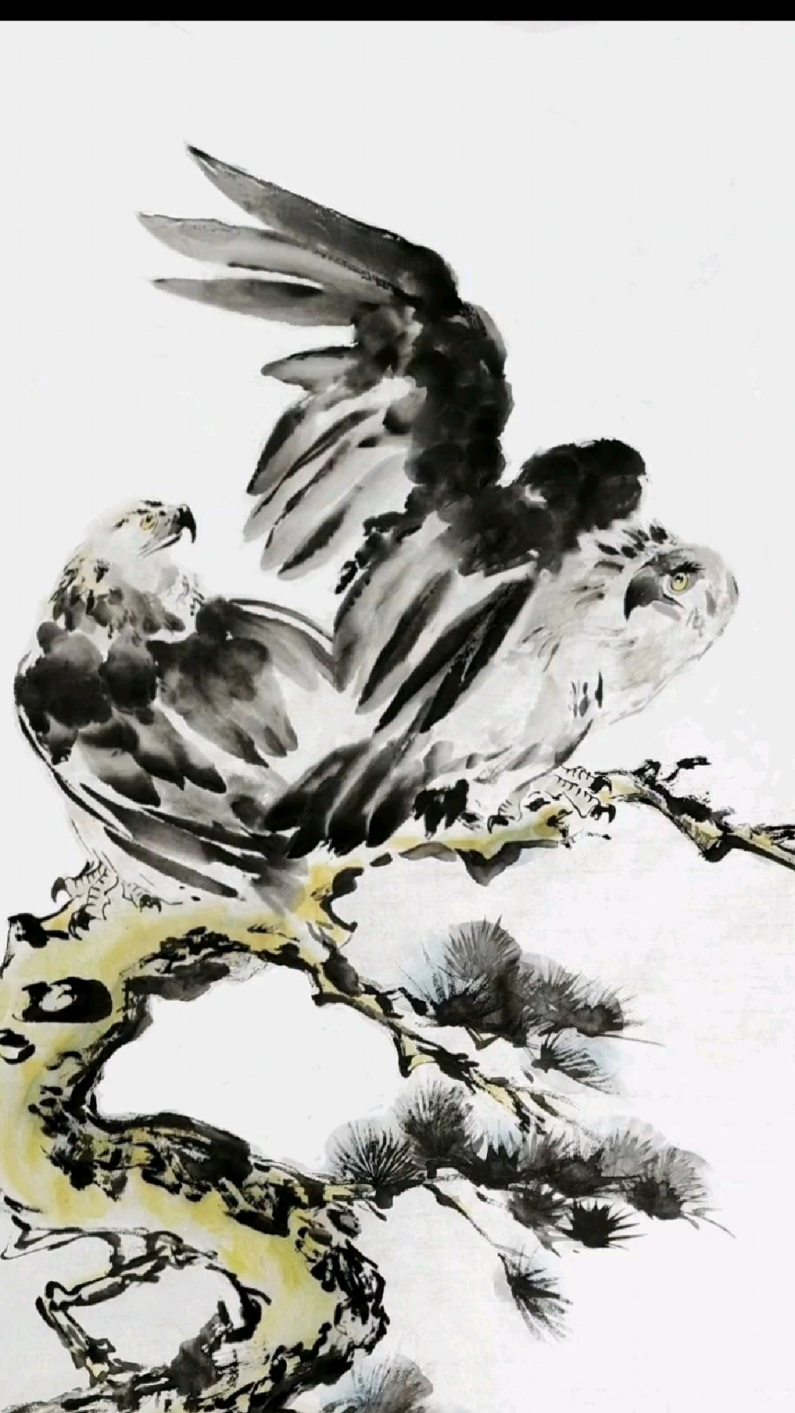 刘继卣大师大写意雄鹰图画法(上官天遐教你画国画)