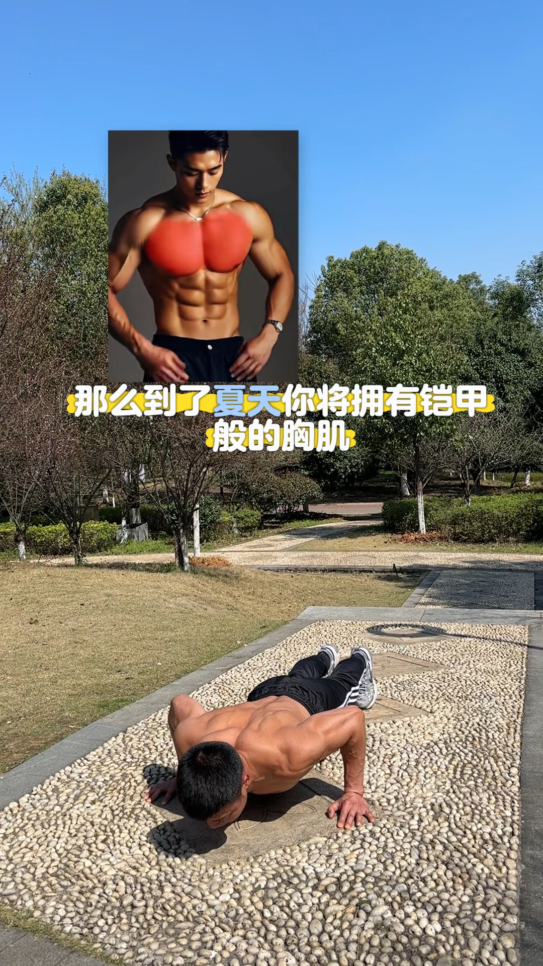 每天100俯卧撑,练出铠甲胸,巨人臂,腹肌鲨鱼肌#徒手健身