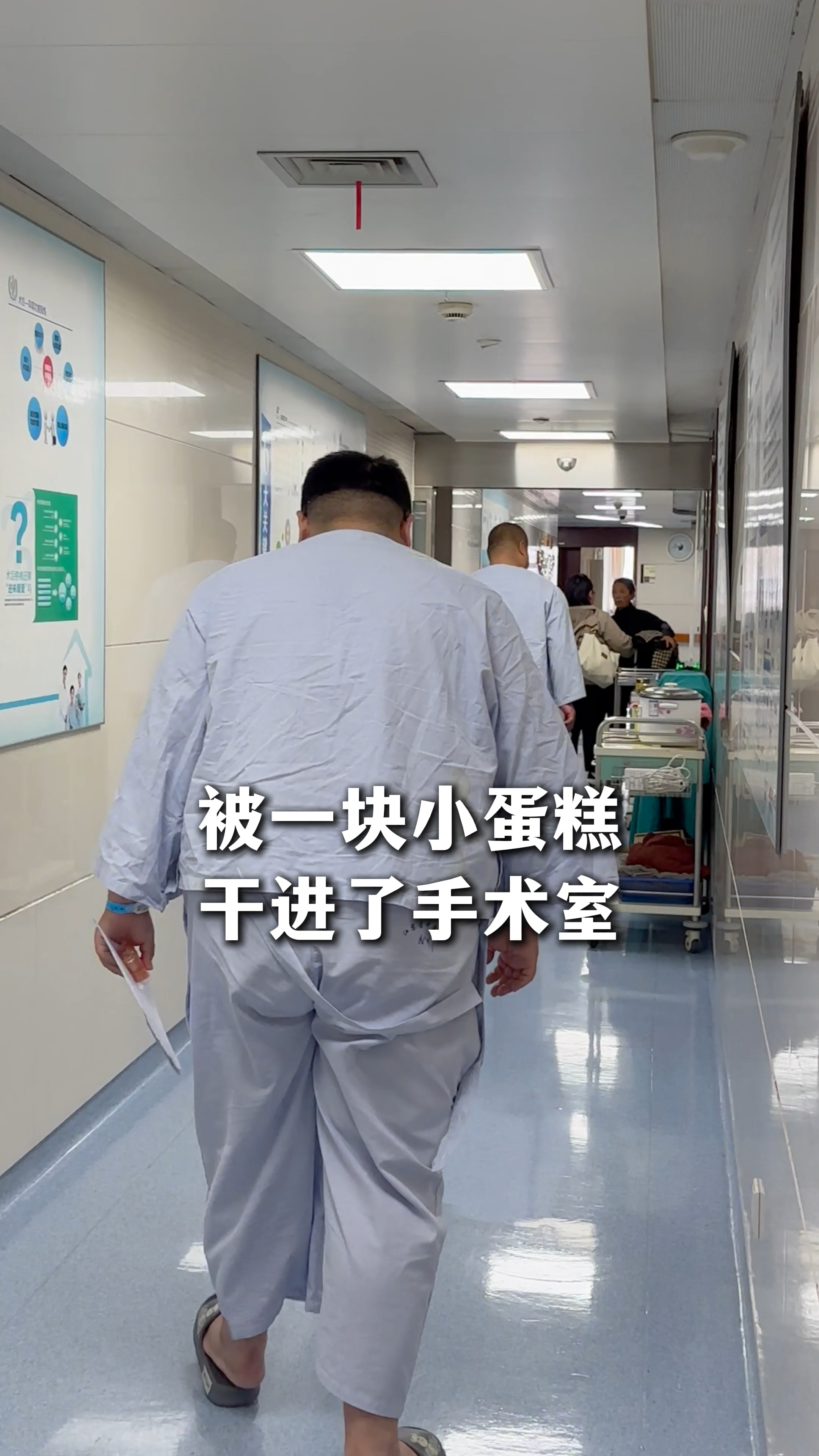 每天吃一个八寸的蛋糕