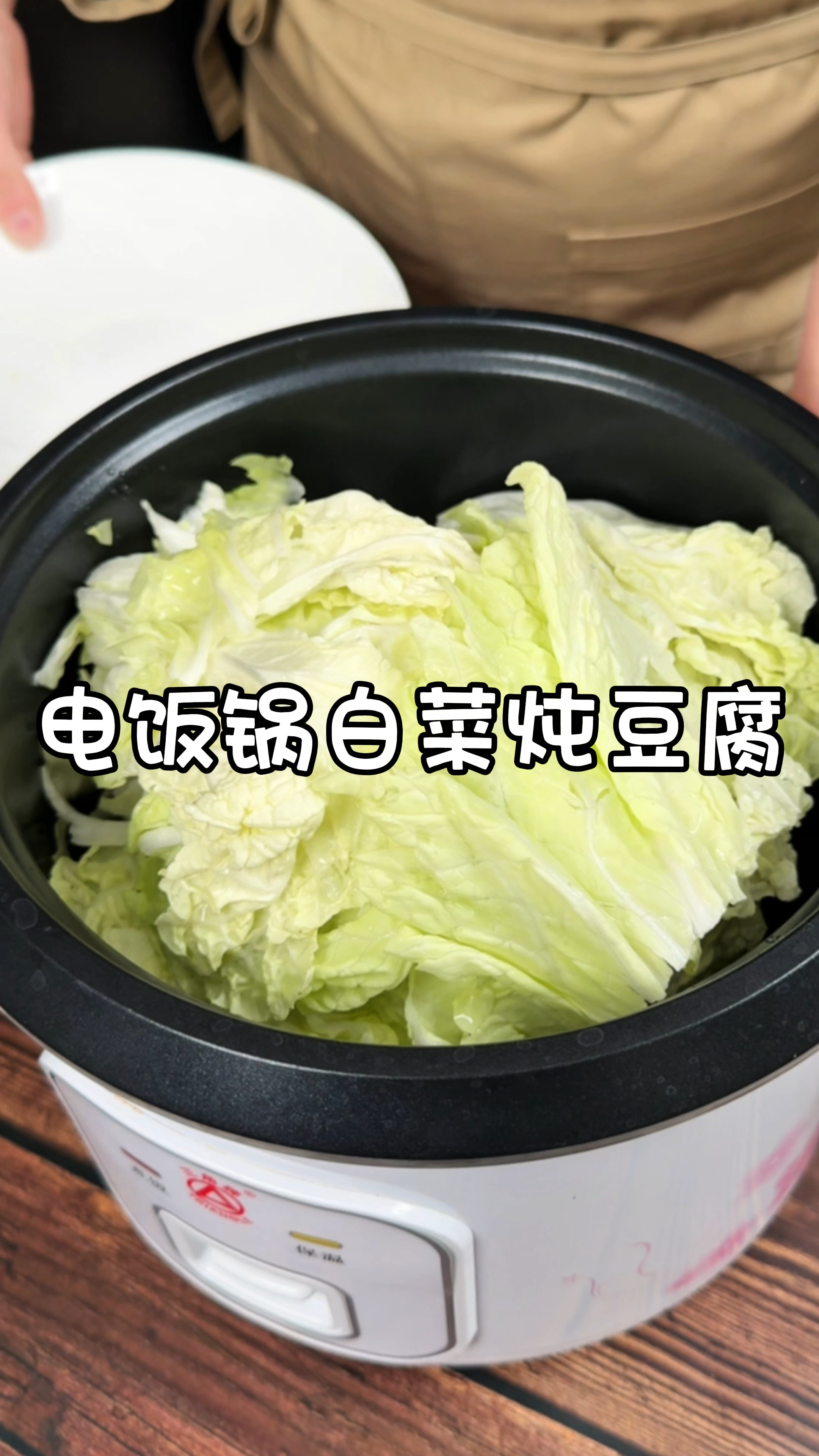家里有电饭锅，就能轻松炖出白菜豆腐炖粉条，简单方便好吃还下饭