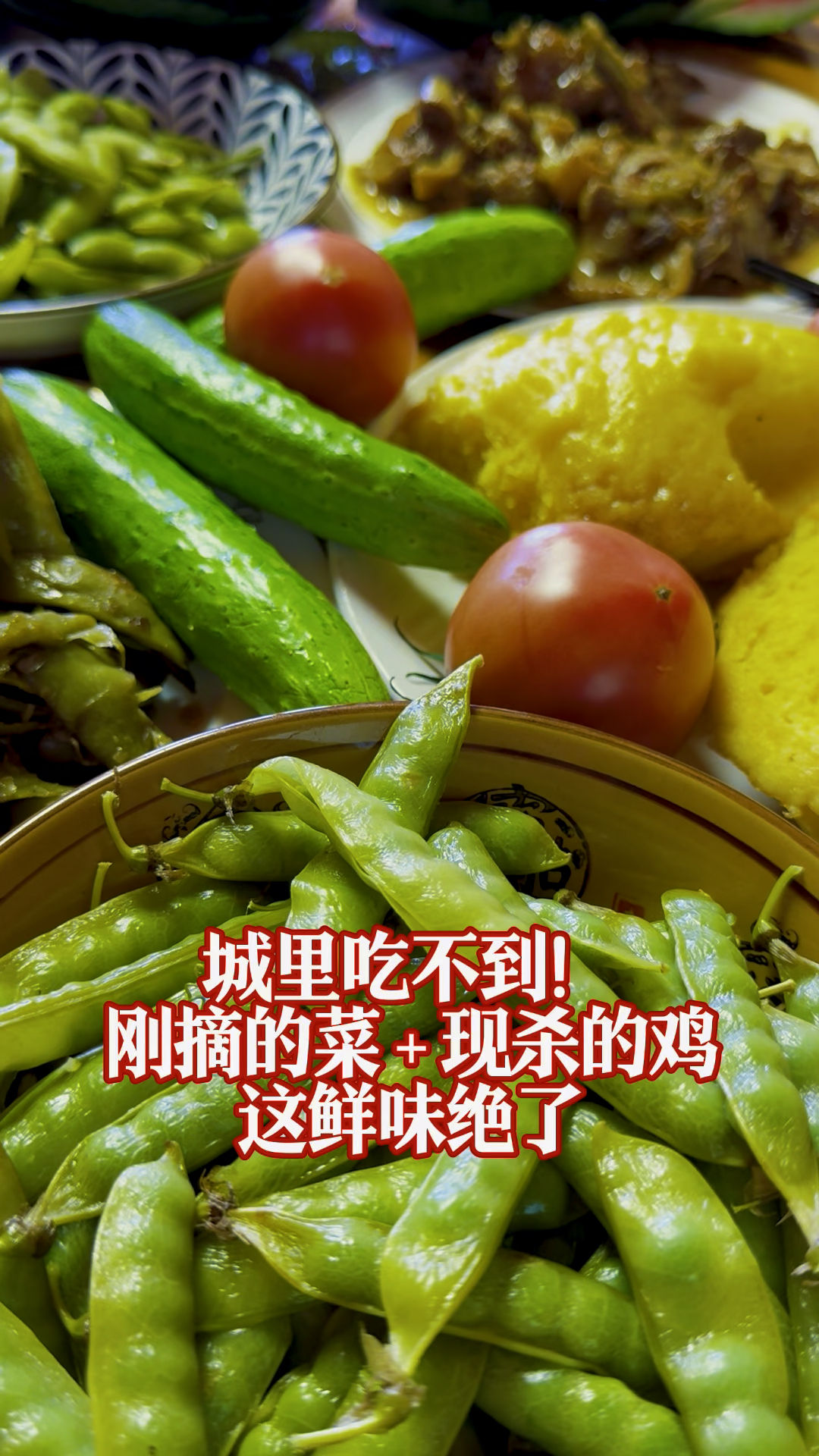 城里吃不到！刚摘的菜、现杀的鸡，这鲜味绝了乡土味道，原生态