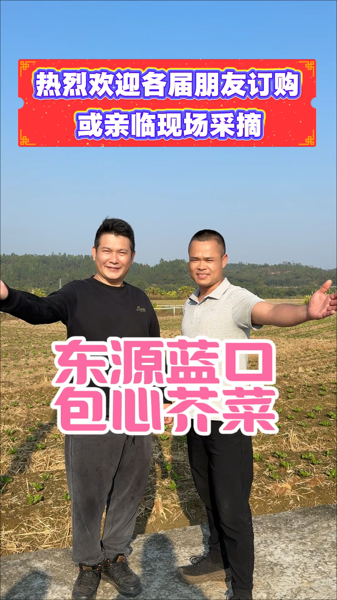 东源县蓝口镇村干部包远明身先士卒,不惧艰辛试种包心芥菜30余亩
