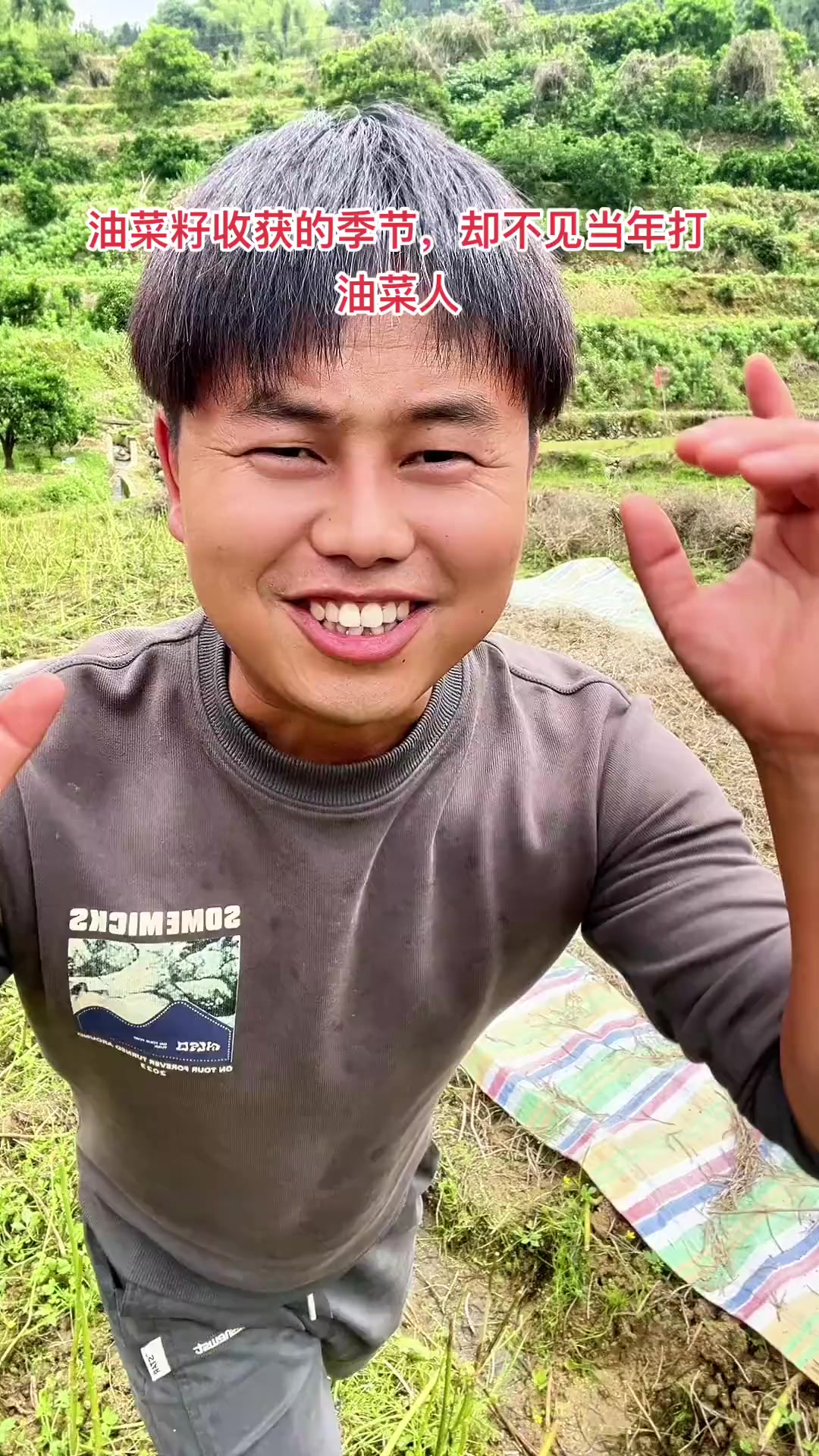 今年油菜籽又是大丰收,家人们你们那边怎么样