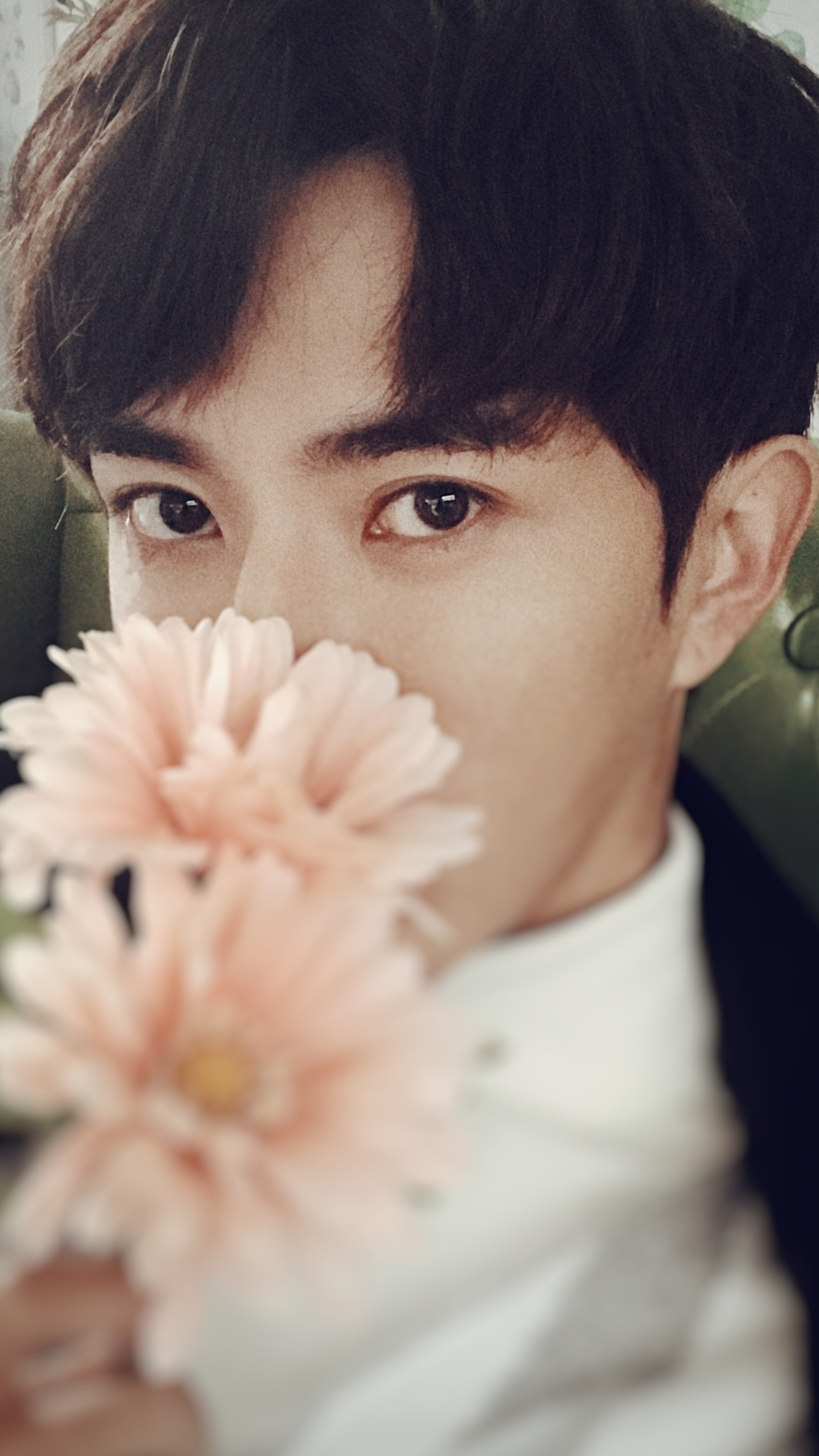 壮壮的，可可爱爱的朦朦！像刚出炉的糯米团子！