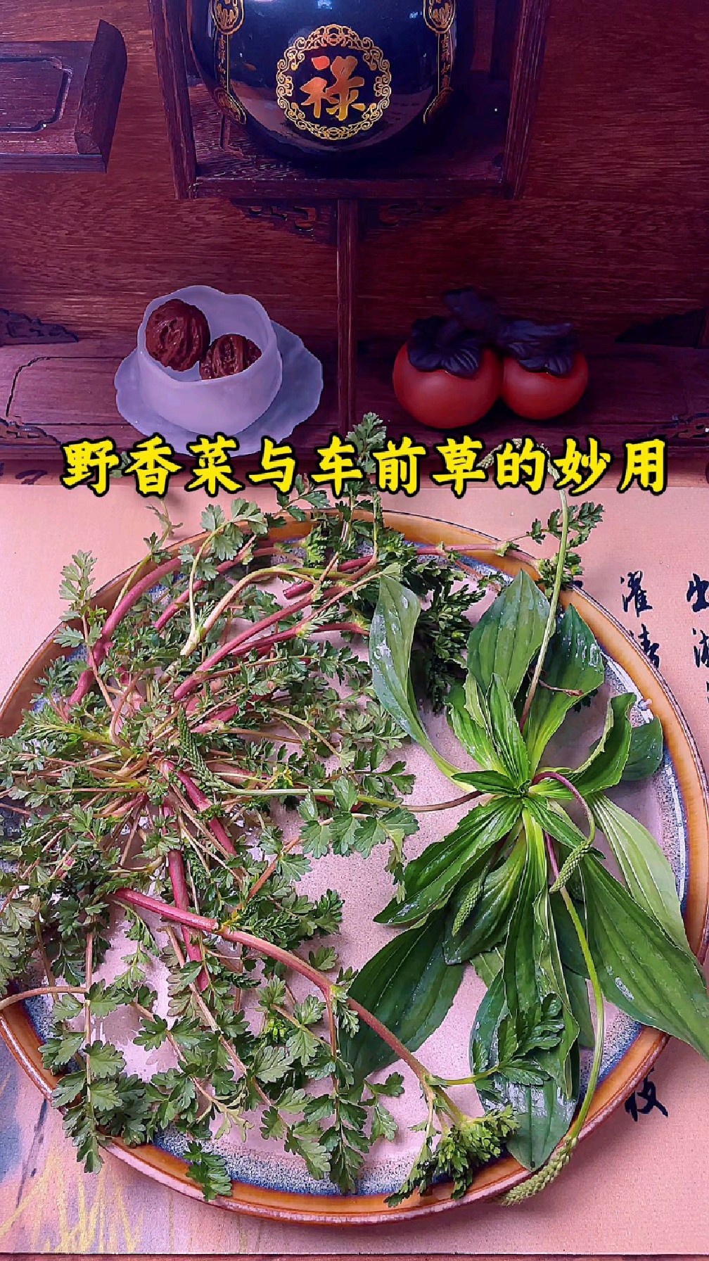 野香菜与车前草的妙用