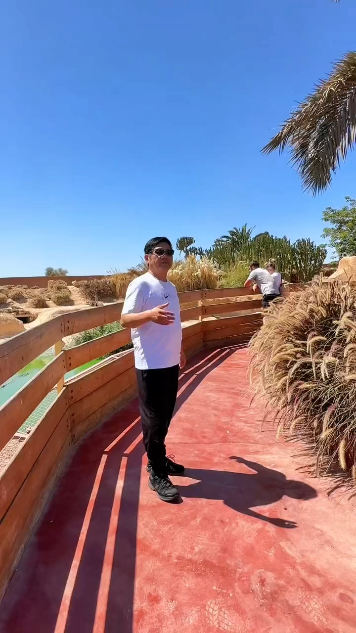 自驾非洲体验大鳄鱼