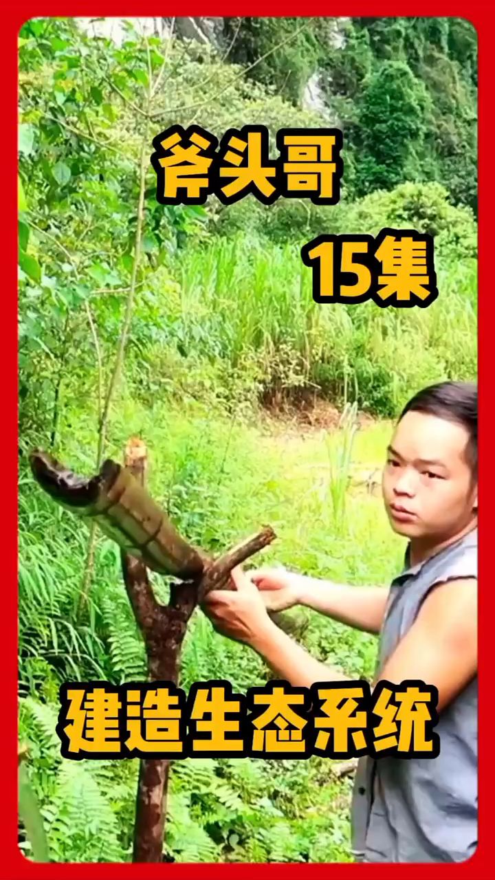 第15集|建造生态循环系统,既有稻田又有鱼池
