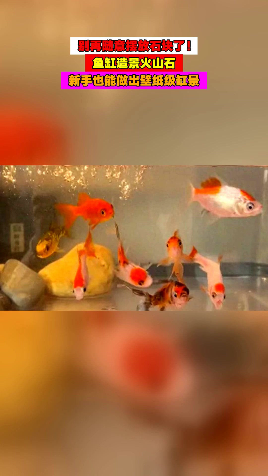 别再随意摆放石块了！鱼缸造景火山石，新手也能做出壁纸级缸景