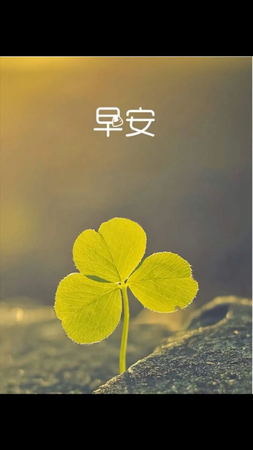 当季时令瓜果蔬菜青草