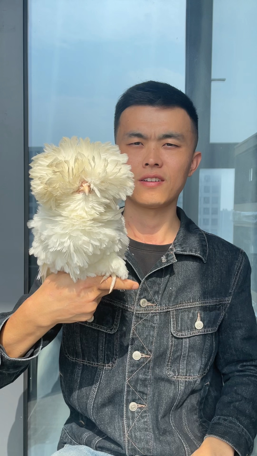 救命！这小鸡居然顶着“菊花”走路，活脱脱一只行走的小盆栽！